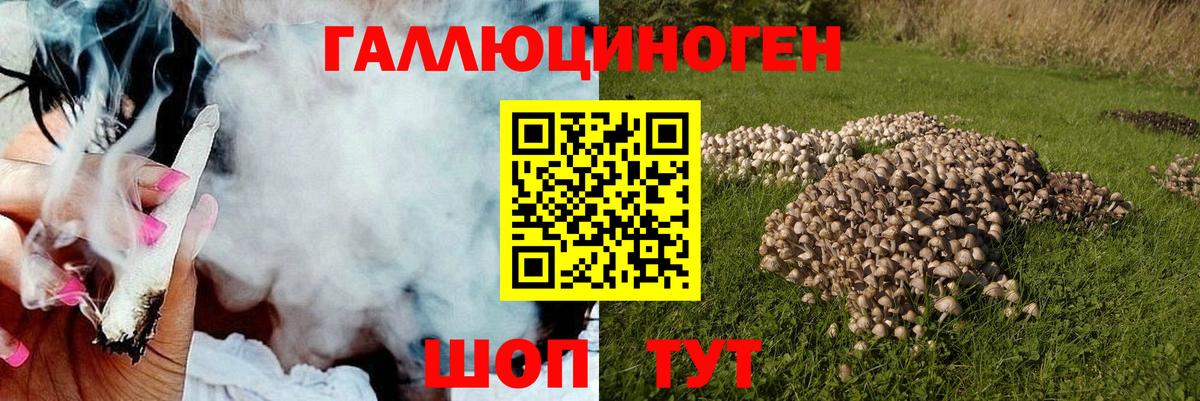 Туапсе  Галлюциногенные грибы MAGIC MUSHROOMS  Вход с VPN  Галлюциногенные грибы MAGIC MUSHROOMS 